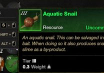how to catch snail new world baited quest