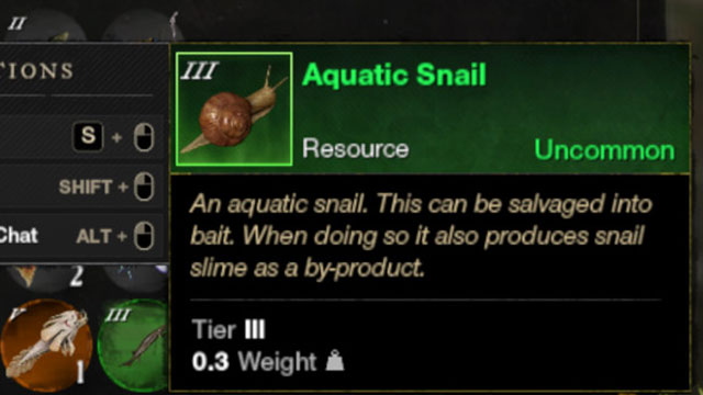 how to catch snail new world baited quest