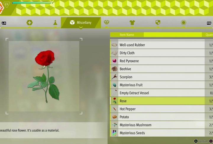 roses location lost judgement