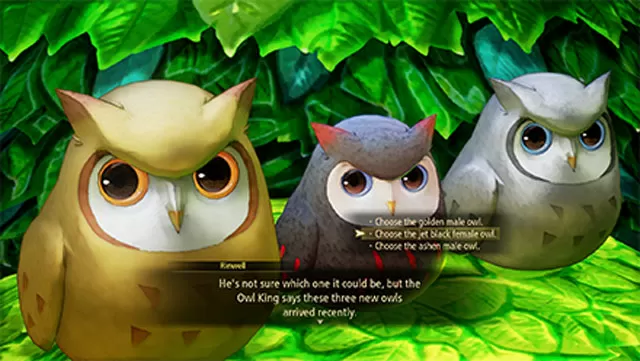 tales of arise big basket or little basket owl sanctuary