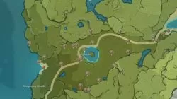 Mystmoon Chest locations in Mondstadt