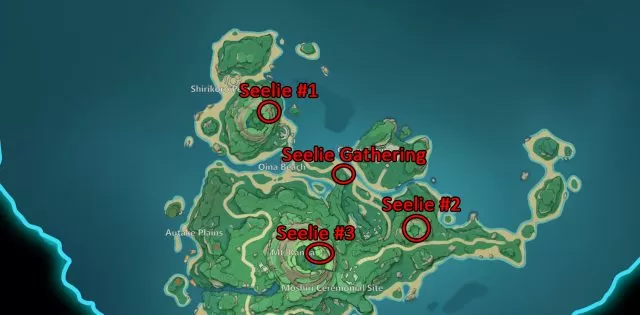 Star Shaped Gem Seelie locations