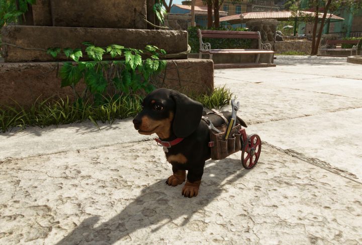 far cry 6 chorizo amigo location & unlock pet dog