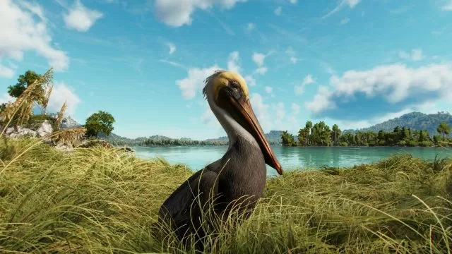 far cry 6 pelicans how and where to find