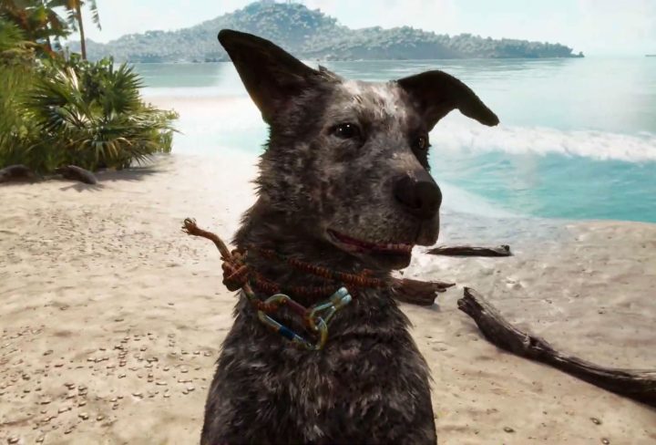 make boom boom loot bodies and collect resources far cry 6