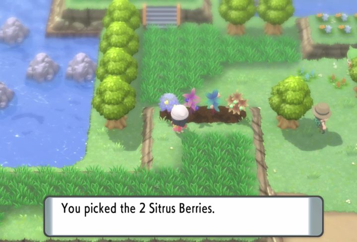 Berries Pokemon BDSP How to Get & Grow Berries