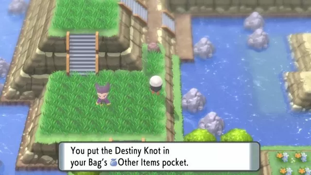 Destiny Knot in Bag