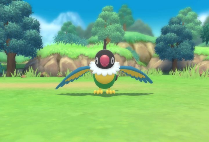 How to Get Chatot Pokemon BDSP