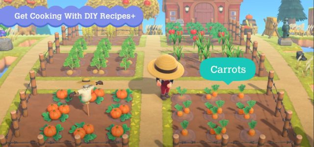 How to Get Tomatoes and Carrots - Animal Crossing New Horizons