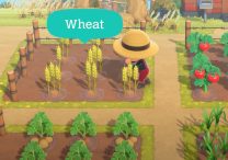 How to Get Wheat in ACNH