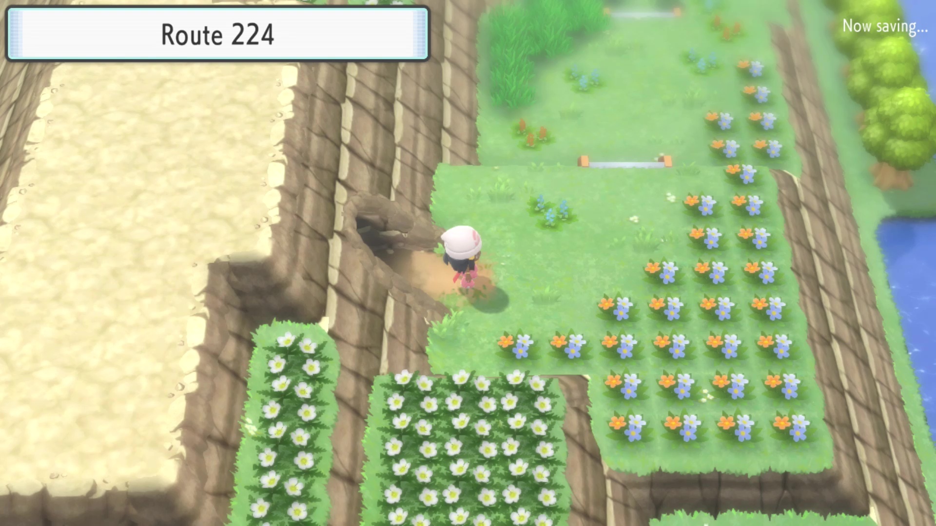 How To Get To Route 224 Pokemon BDSP