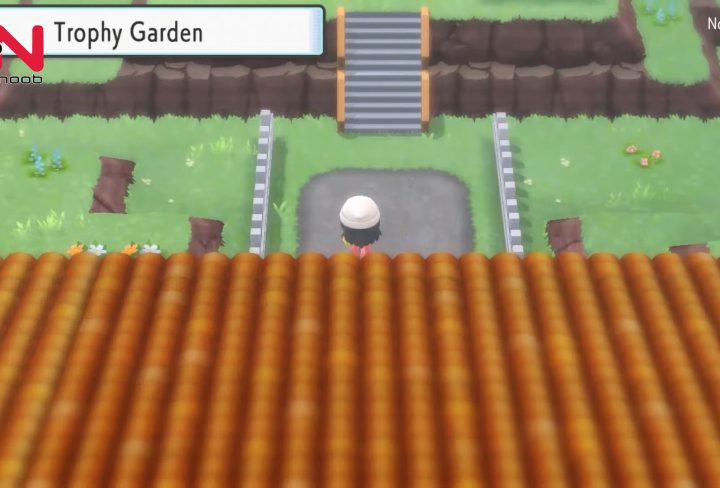 Trophy Garden Pokemon BDSP - Mr. Backlot