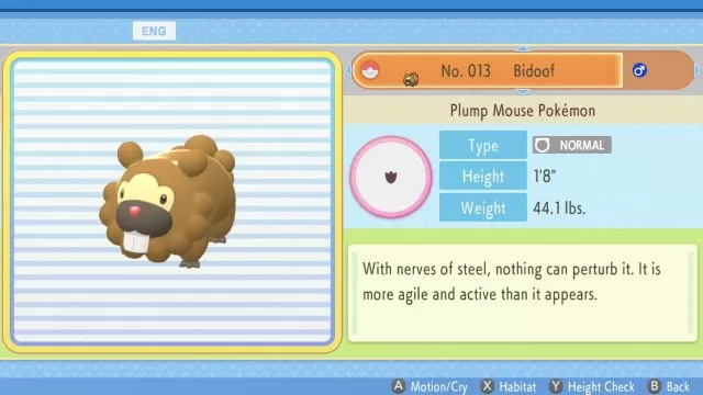 bidoof in pokemon bdsp