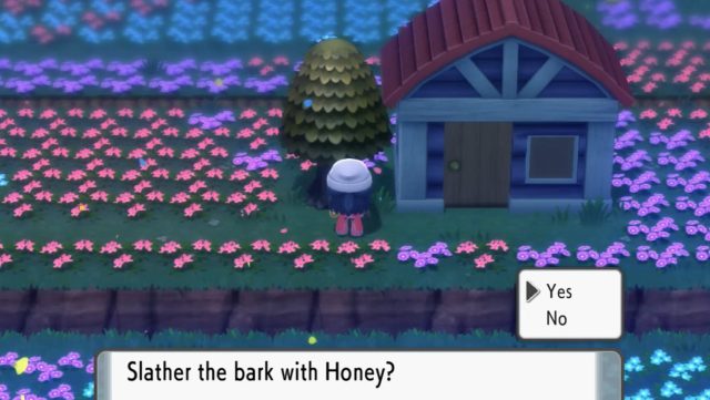 How to Get Honey - Pokemon Brilliant Diamond & Shining Pearl