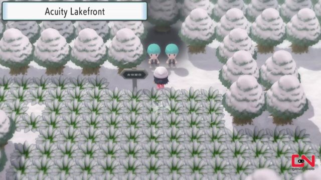 how to get to lake acuity pokemon brilliant diamond & shining pearl
