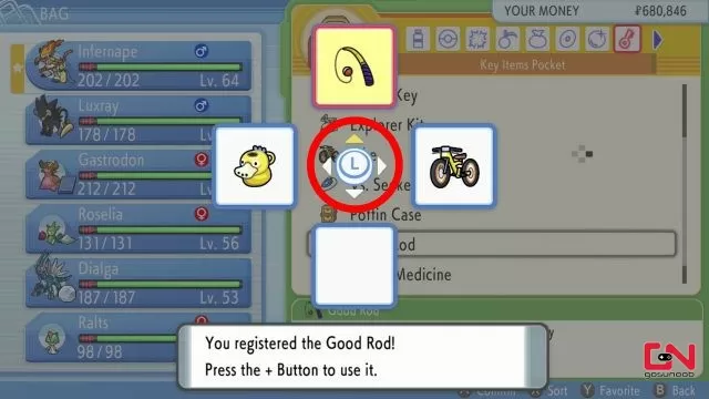 register use items pokemon brilliant diamond shining pearl