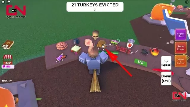 wacky wizards turkey