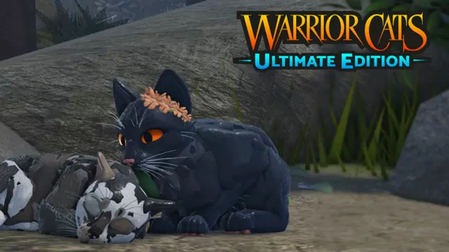 warrior cats codes not available