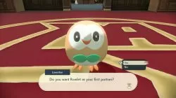 choose rowlet