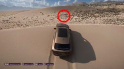 where to find chinese lanterns dunas blancas forza 5