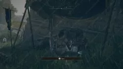 Best Shield in Early Game Elden Ring, Beast Crest Heater Shield Location