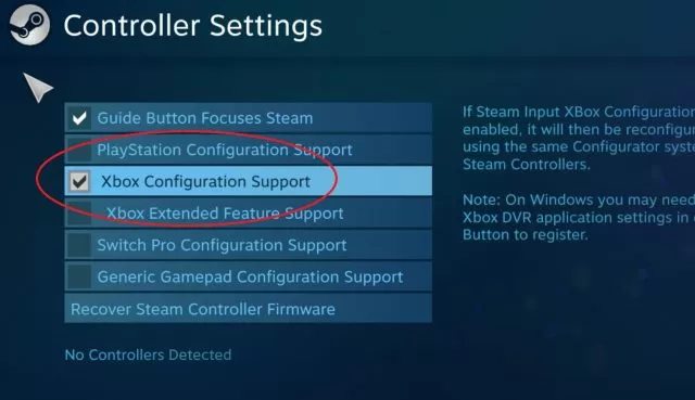 Elden Ring Controller not Working PC Steam