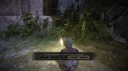 Elden Ring Golden Seed Locations Add Charge to Flask