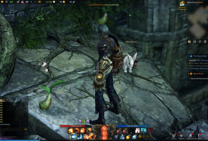 Lost Ark Morai Ruins Mokoko Seeds