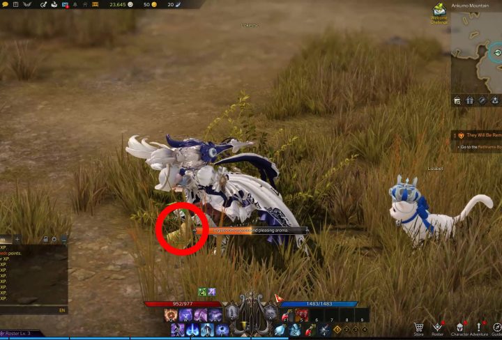 ankumo mountain mokoko seed locations lost ark