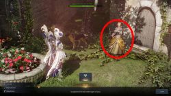 how to get holy potato with teeth marks in lost ark
