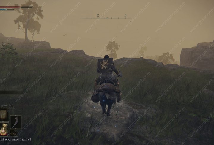 how to get mount in elden ring