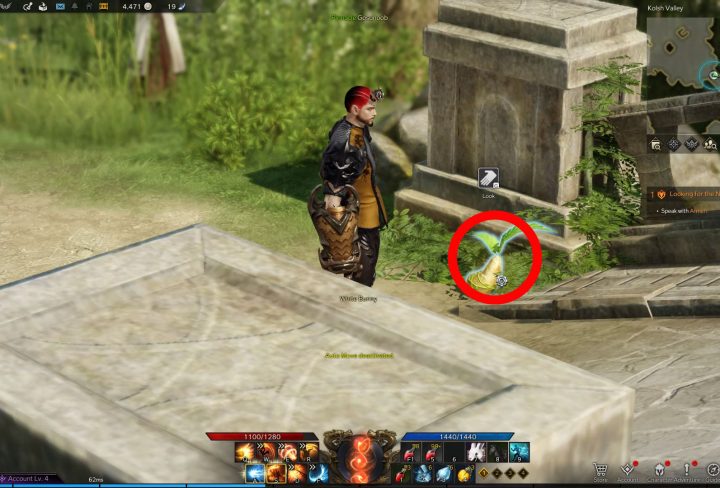 loghill mokoko seed locations lost ark