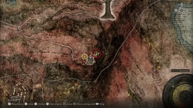 right dectus medallion location