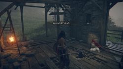 roderika is in stormhill shack