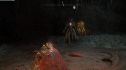 How to Get the Gold Scarab in Elden Ring