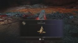 How to Get the Gold Scarab in Elden Ring