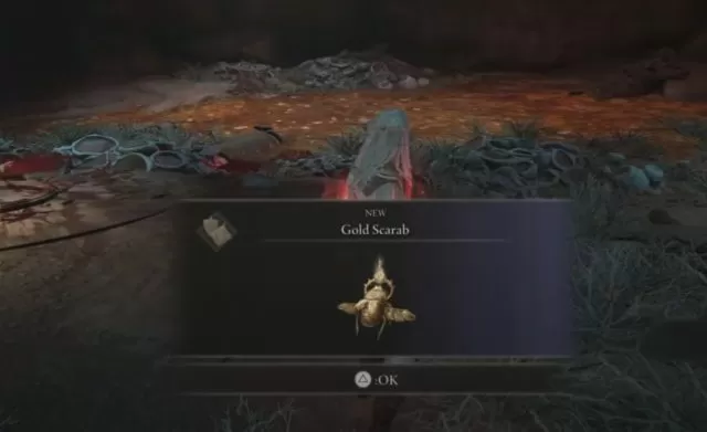 How to Get the Gold Scarab in Elden Ring