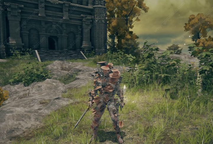 Elden Ring Mushroom Armor Set