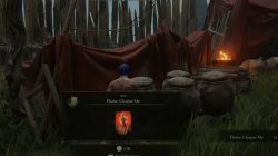 How to remove Scarlet Rot in Elden Ring