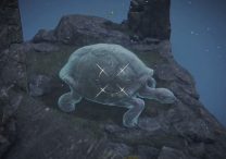 elden ring turtles not spawning in chelonas rise bug solution