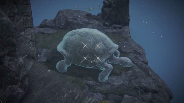 elden ring turtles not spawning in chelonas rise bug solution