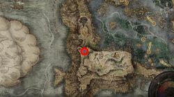 how to fix chelonas rise turtles not spawning elden ring bug