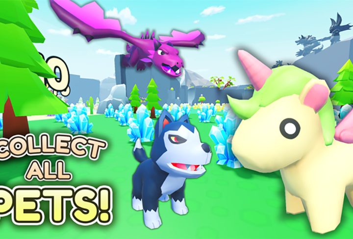 Collect All Pets Codes April 2022 Roblox