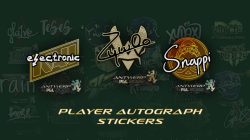 All PGL Antwerp 2022 Major Player Autograph Stickers