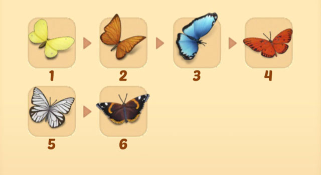 merge mansion butterfly event get butterflies & moths