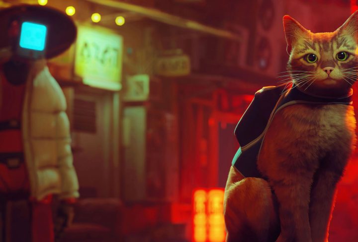 will stray be on xbox & nintendo switch