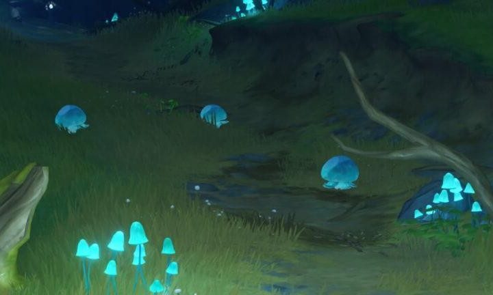 Floating Hydro Fungus Locations Genshin Impact