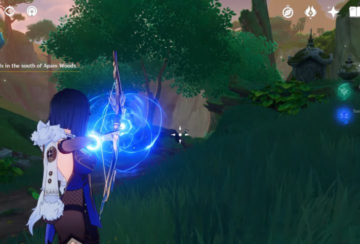 Short Encounter With a Rare Bird, Genshin Impact Dusk Bird Locations