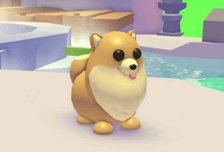 get pomeranian and orca in adopt me