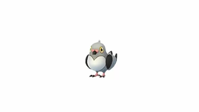 pidove spotlight hour pokemon go shiny pidove